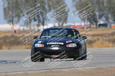 media/Oct-14-2023-CalClub SCCA (Sat) [[0628d965ec]]/Group 4/Qualifying/